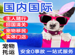 布拉克机场货运国际宠物托运 【国
